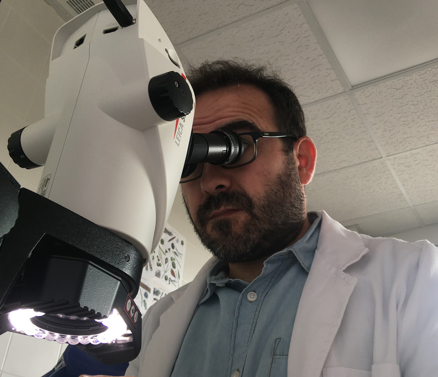 Trabajador mirando muestra en microscopio