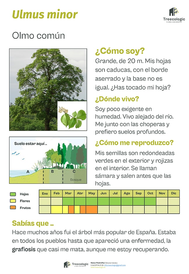 5.4 Materiales de divulgación-min